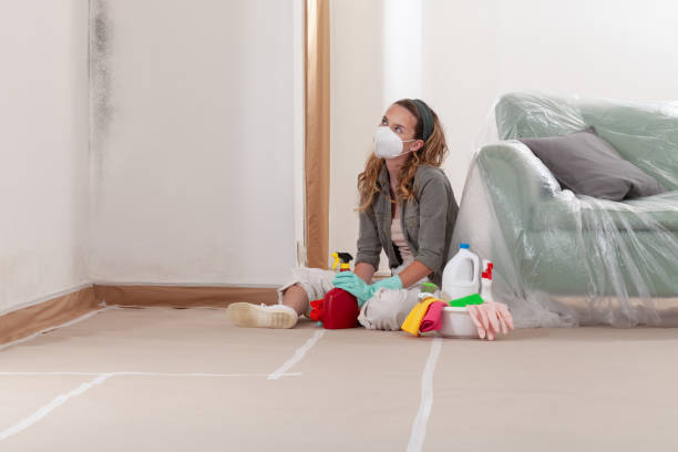 Reliable Mold Cleanup contractor in Palm Beach Gardens, FL by WQB Mold Removal